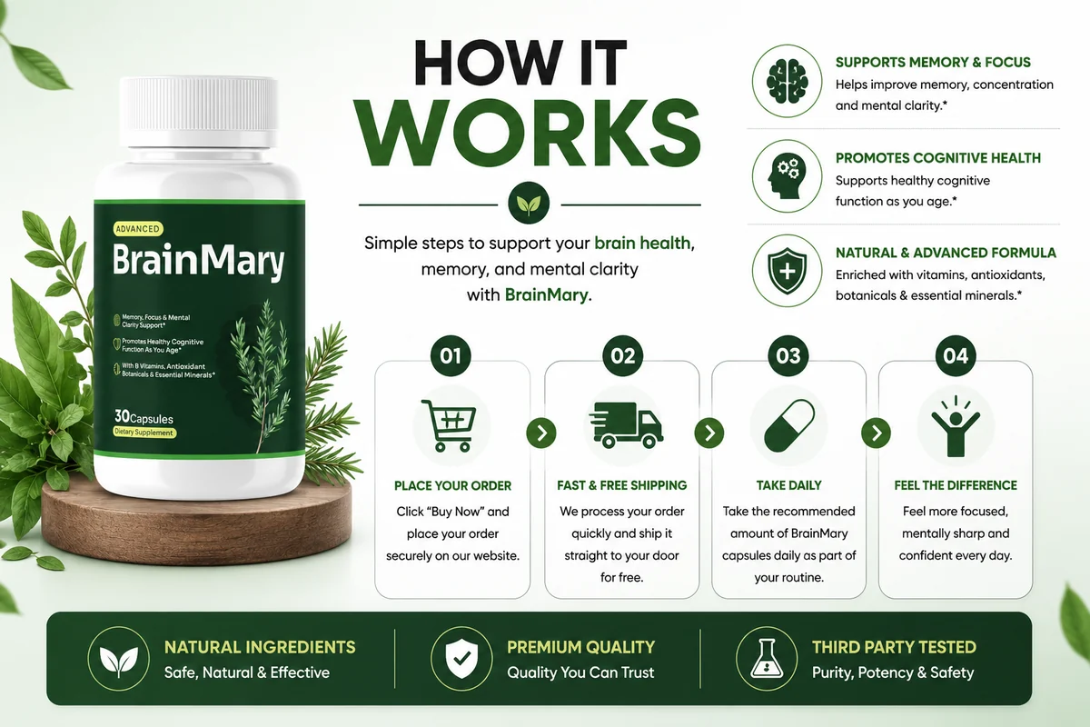 How BrainMary works: from capsule to cognitive support